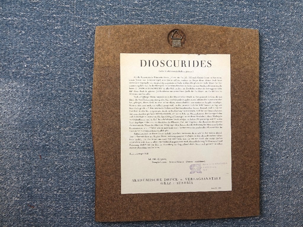 Fol. 246 uit ‘Wiener Dioscorides’ op paneel, Ophalen of Verzenden, Print, Print/reproductie, Met kunstenaarsmerk