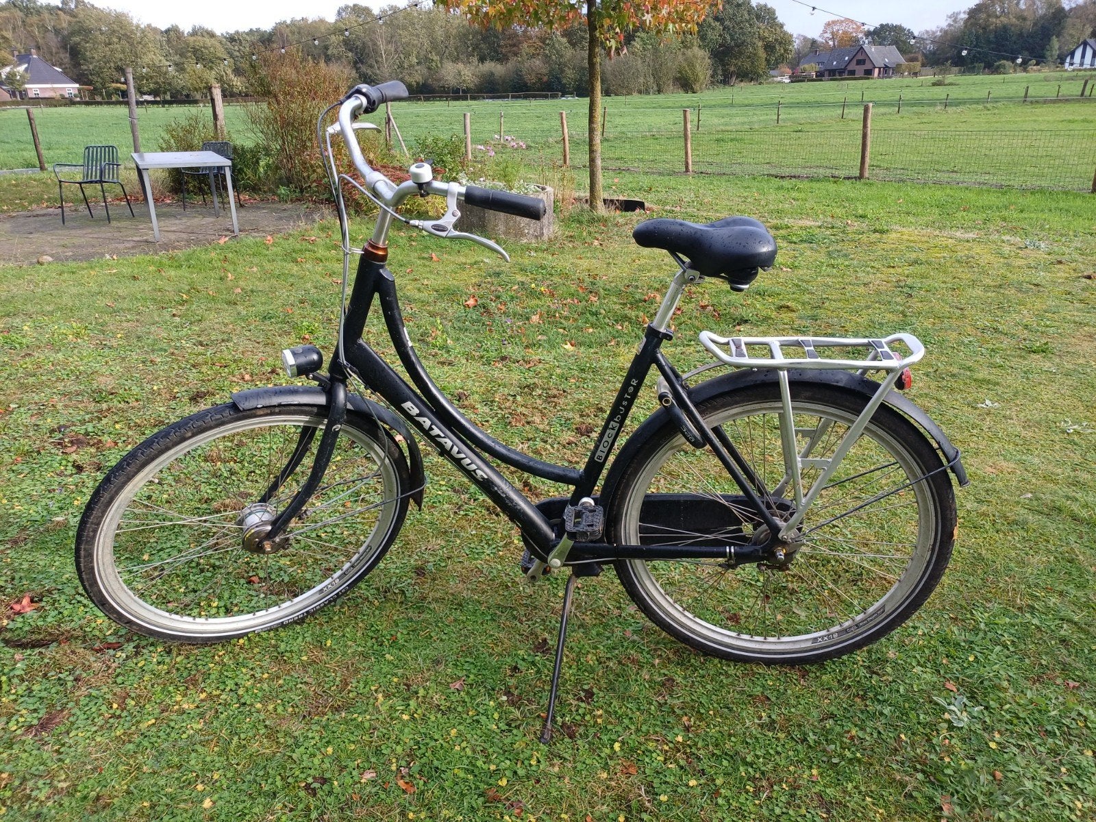 Batavus Damesfiets - 3 versnellingen - Ideale stationsfiets, Ophalen, Gebruikt, Batavus