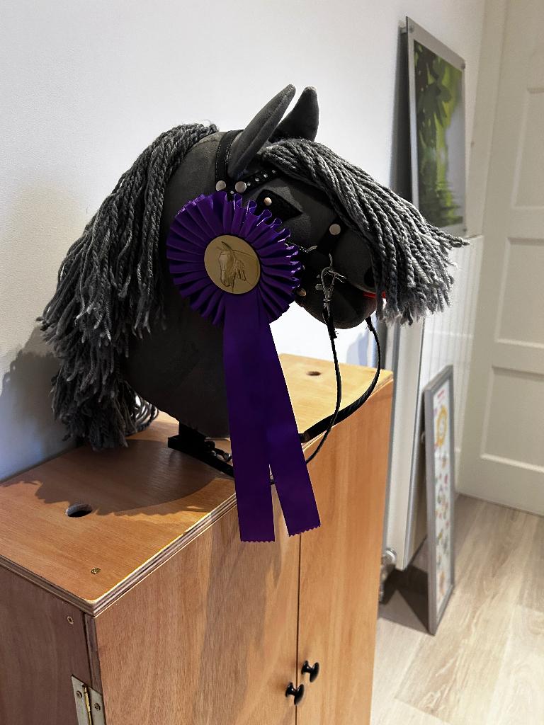 Hobby horse/stokpaard, Hobby en Vrije tijd, Overige Hobby en Vrije tijd, Gebruikt, Ophalen
