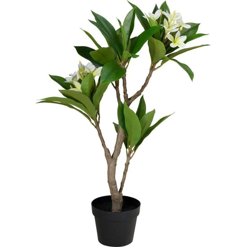 Kunstplant Plumeria 50x90 cm Wit/Groen, Ophalen, Binnen, Home & Styling, Home & Styling
