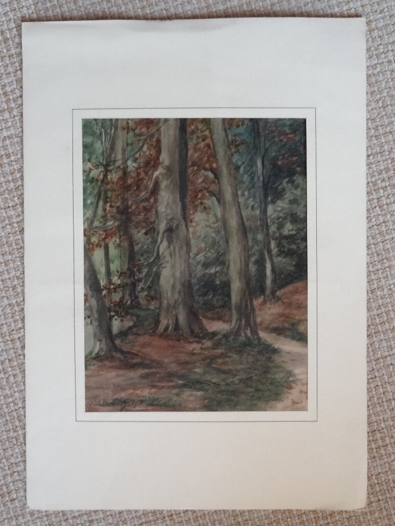 aquarel boszicht gesigneerd Eugène Rensburg 1893, Origineel werk, Ophalen of Verzenden, Landschap, Klassiek