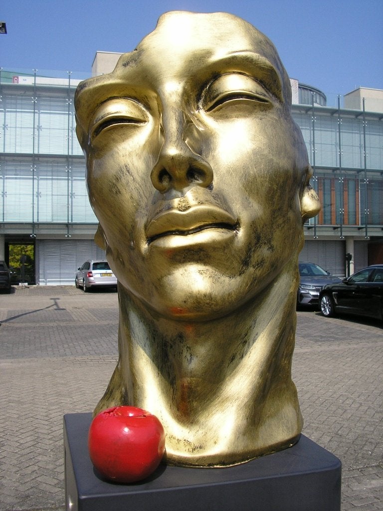 BEELD HET GEZICHT OOK WEL THE FACE   OPHALEN / VERZENDEN, Antiek en Kunst, Ophalen