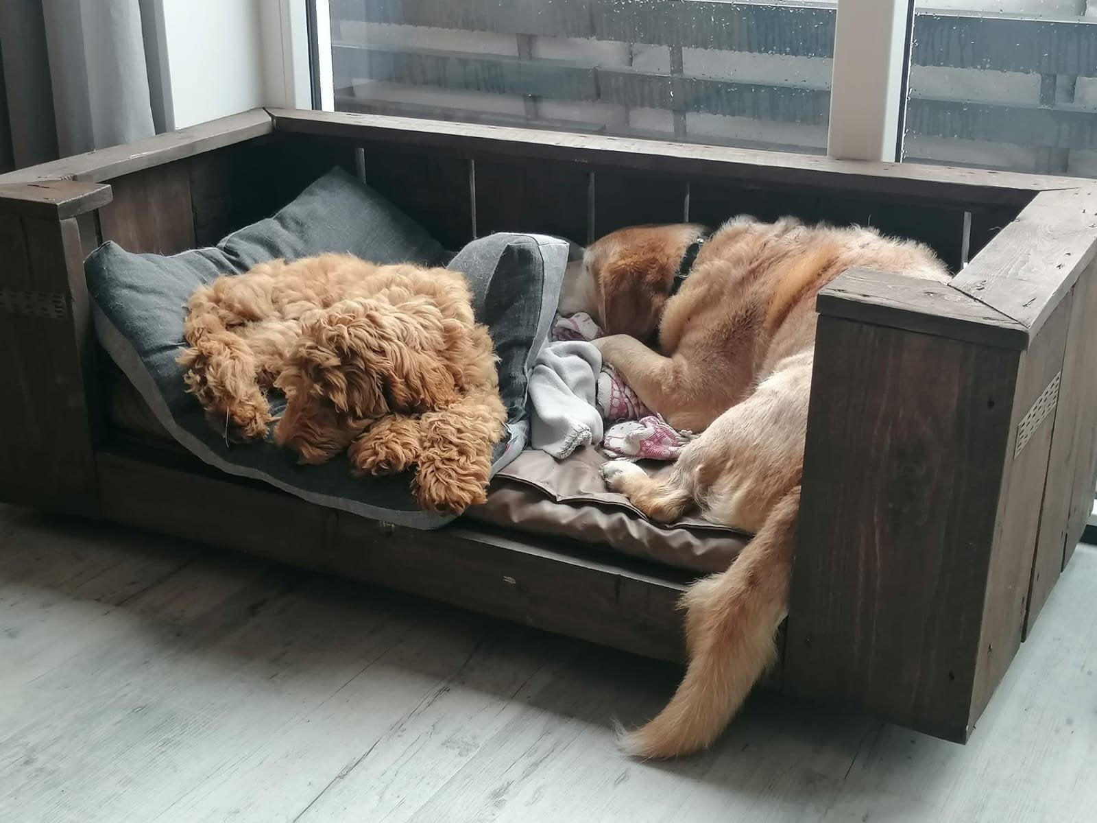 Hondenbank, Dieren en Toebehoren, Ophalen, Zo goed als nieuw, Overige