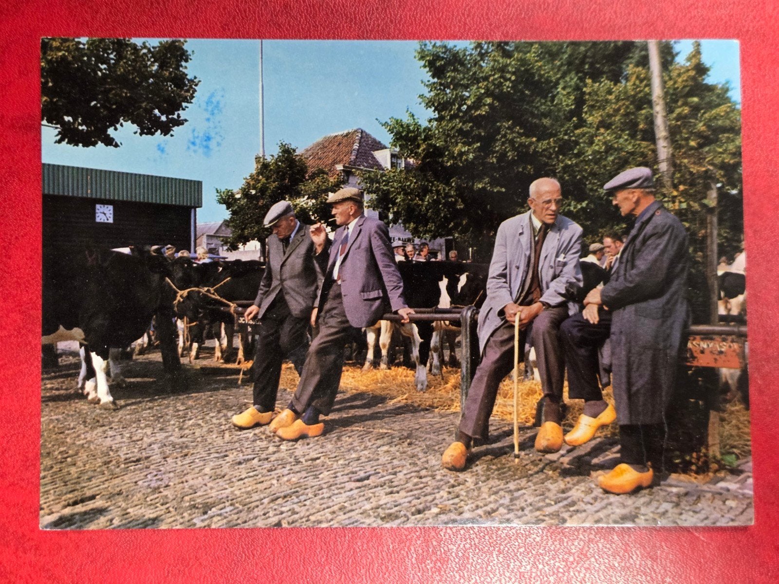 Purmerend Koemarkt, Ophalen of Verzenden, 1980 tot heden, Noord-Holland
