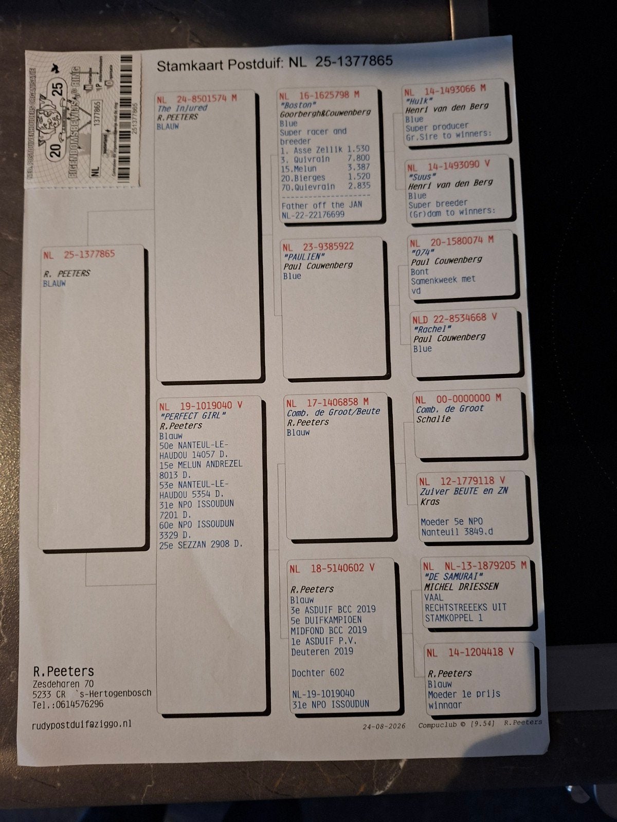Te koop 3 jongen postduiven, Meerdere dieren, Postduif