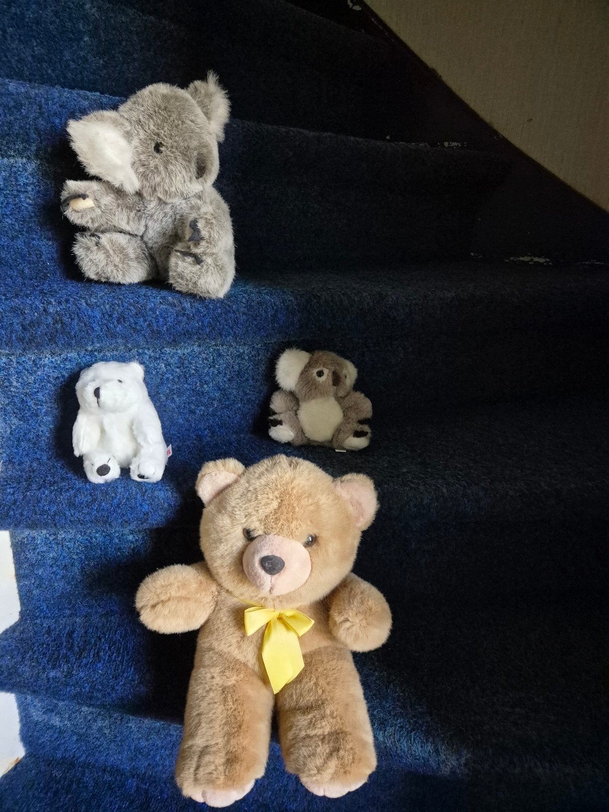 4 Leuke knuffels: beer, koala's en ijsbeer , SAMEN MAAR, Ophalen, Gebruikt, Beer, Middelgroot (20 tot 80 cm)