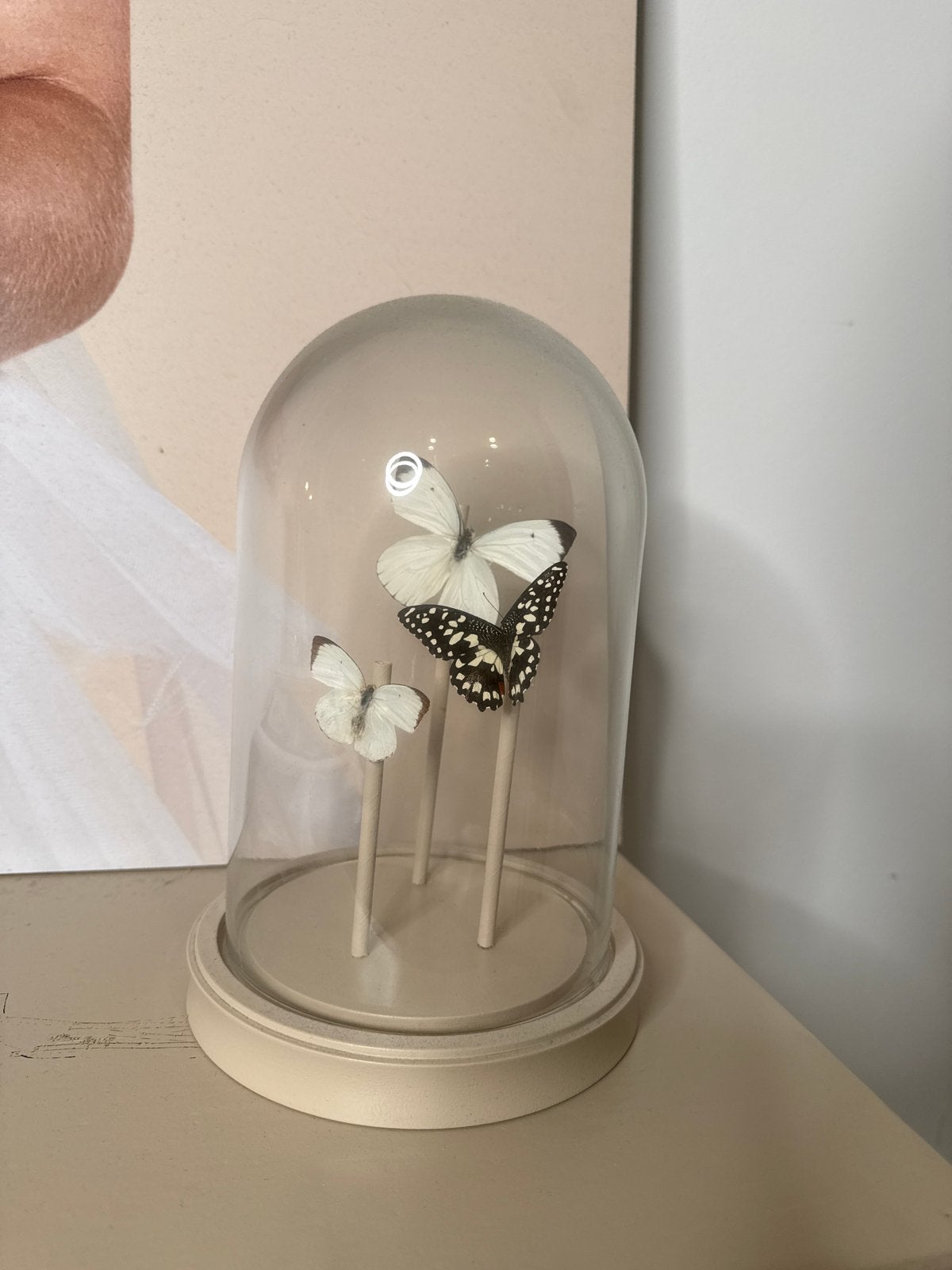 Decoratieve stolp met vlinders, Ophalen, Meerkleurig, Zo goed als nieuw, Modern