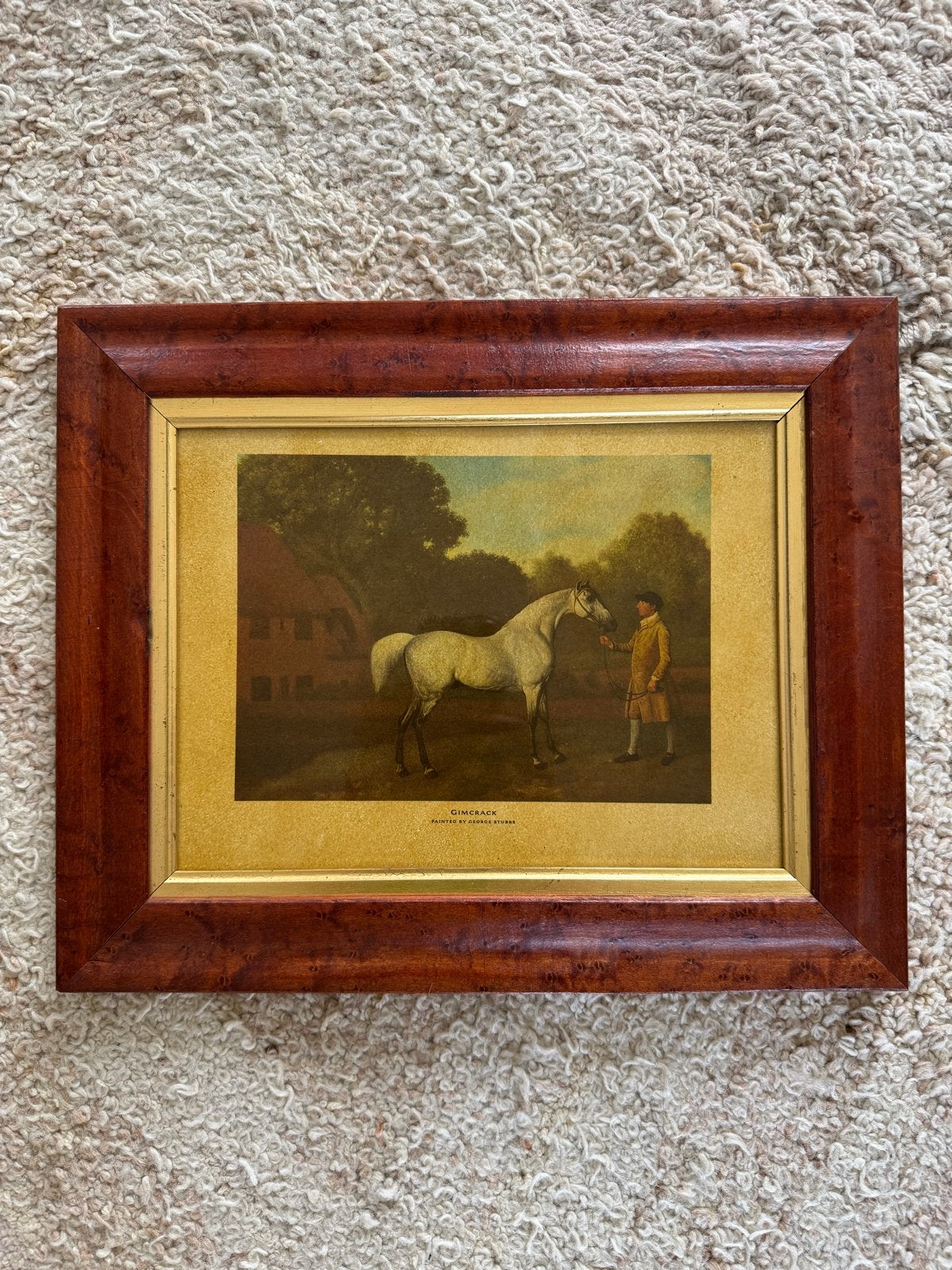 Vintage print George Stubbs 'Gimcrack' in houten lijst, Antiek en Kunst, Kunst | Schilderijen | Klassiek, Dieren, Ophalen of Verzenden