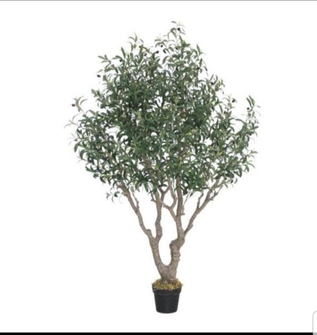 kunstplant olea olijf 180 cm, Ophalen of Verzenden, Nieuw