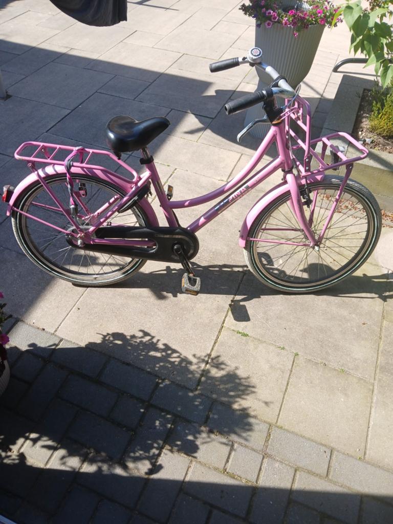 22" meisjesfiets van alpina, Terugtraprem, 22 inch, Gebruikt, Alpina