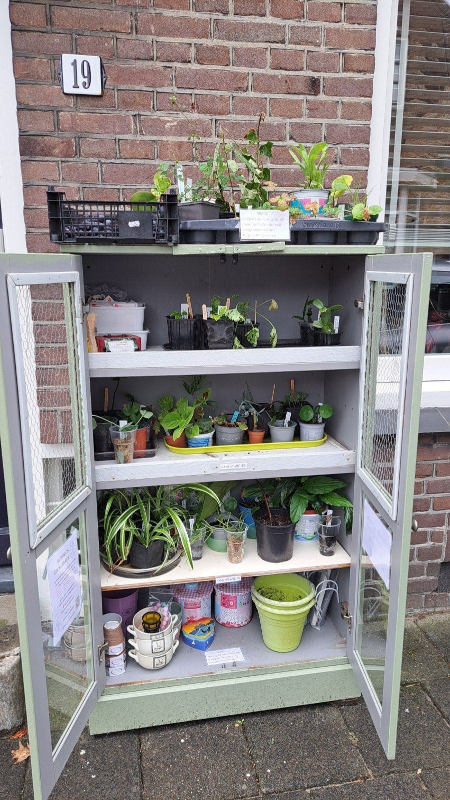Suuske's Stekjesrek - plantenbieb Heerenveen, Ophalen, Halfschaduw, Minder dan 100 cm