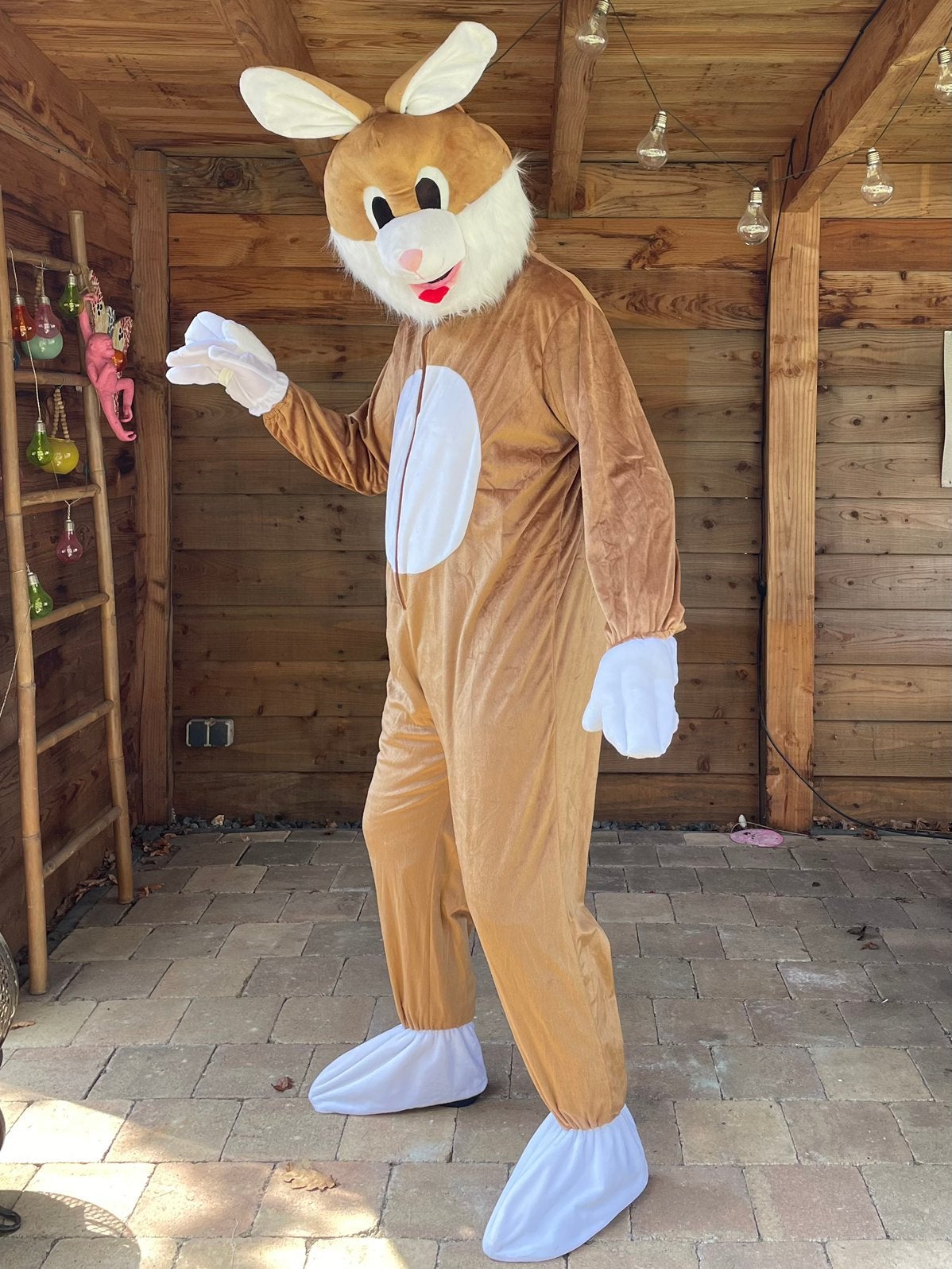 Leuke dierenkostuums mascotte pakken te huur, Hobby en Vrije tijd, Feestartikelen | Verhuur, Ophalen of Verzenden, Zo goed als nieuw