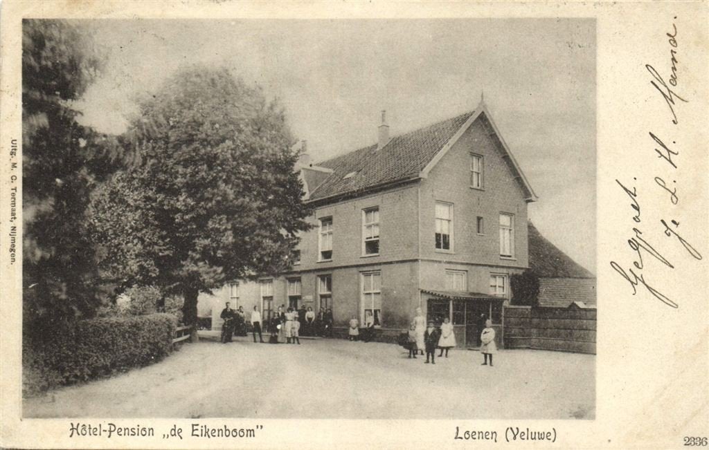 Hotel-Pension de Eikenboom - Loenen [Veluwe] - B-keus - 1904, Verzamelen, Ophalen of Verzenden, Voor 1920, Gelopen, Gelderland