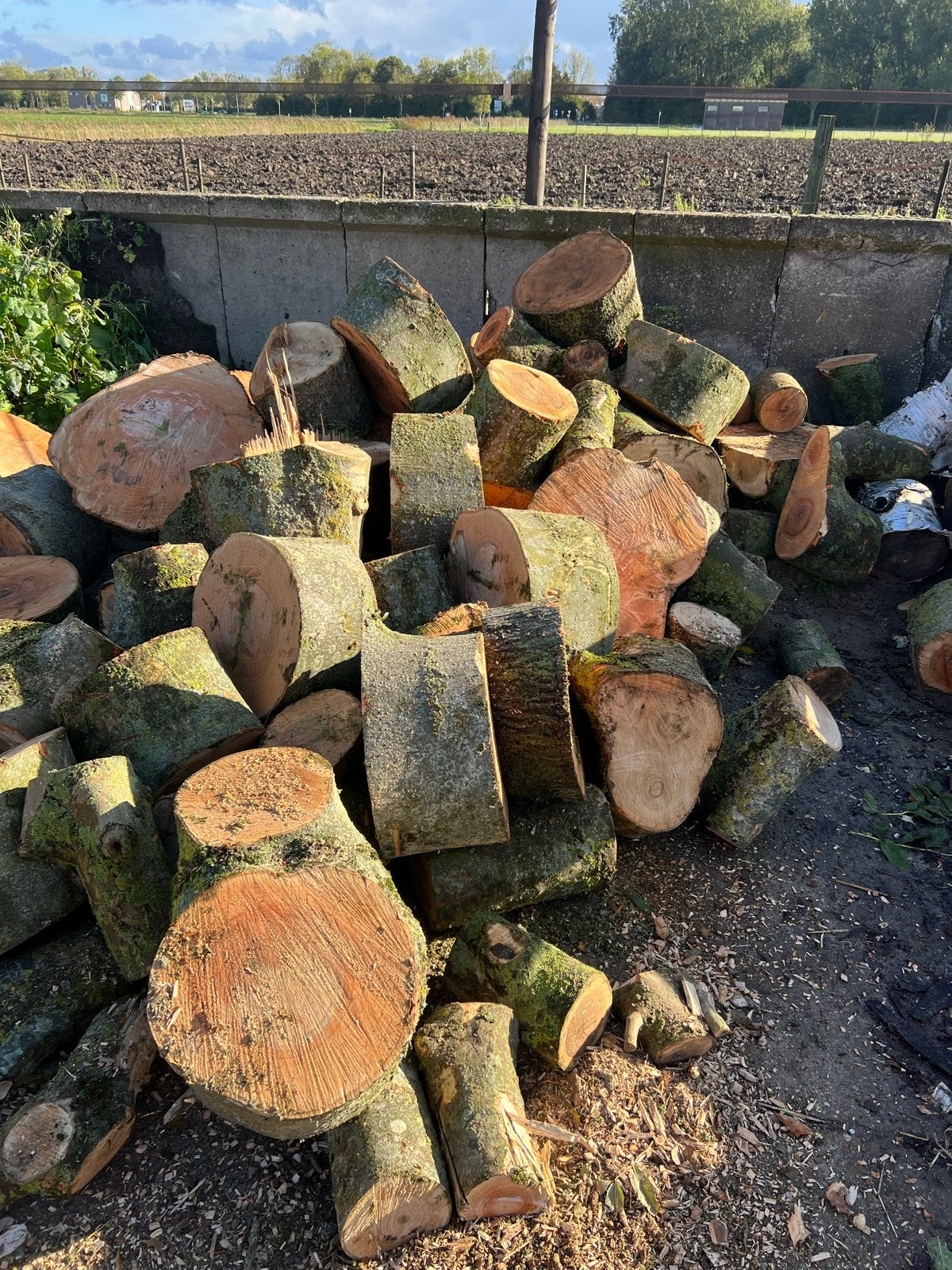Berken en essen blokken openhaard haardhout, 3 tot 6 m³, Ophalen of Verzenden, Overige houtsoorten, Blokken