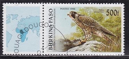 3072 – Burkina Faso michel 1406 gestempeld , zwerfvalk, Postzegels en Munten, Postzegels | Afrika, Verzenden, Overige landen, Gestempeld