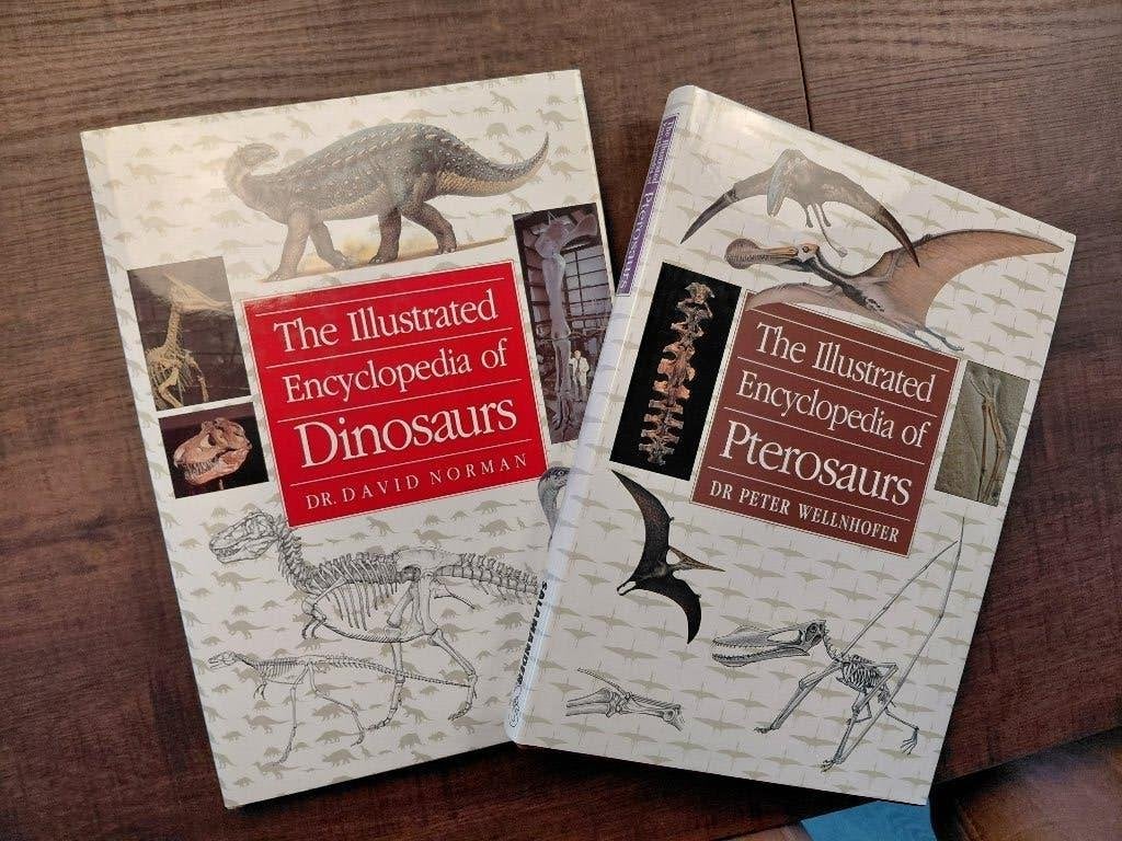 Dinosaurus boeken, Ophalen of Verzenden, Zo goed als nieuw