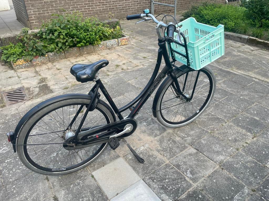 Batavus diva damesfiets, 56 cm of meer, Ophalen, Gebruikt