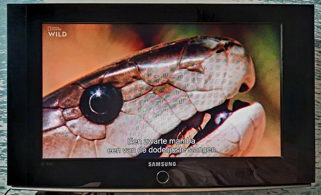 Goed werkende Samsung TV. Samsung LE-26S81B, Ophalen, Gebruikt, 50 Hz, HD Ready (720p)