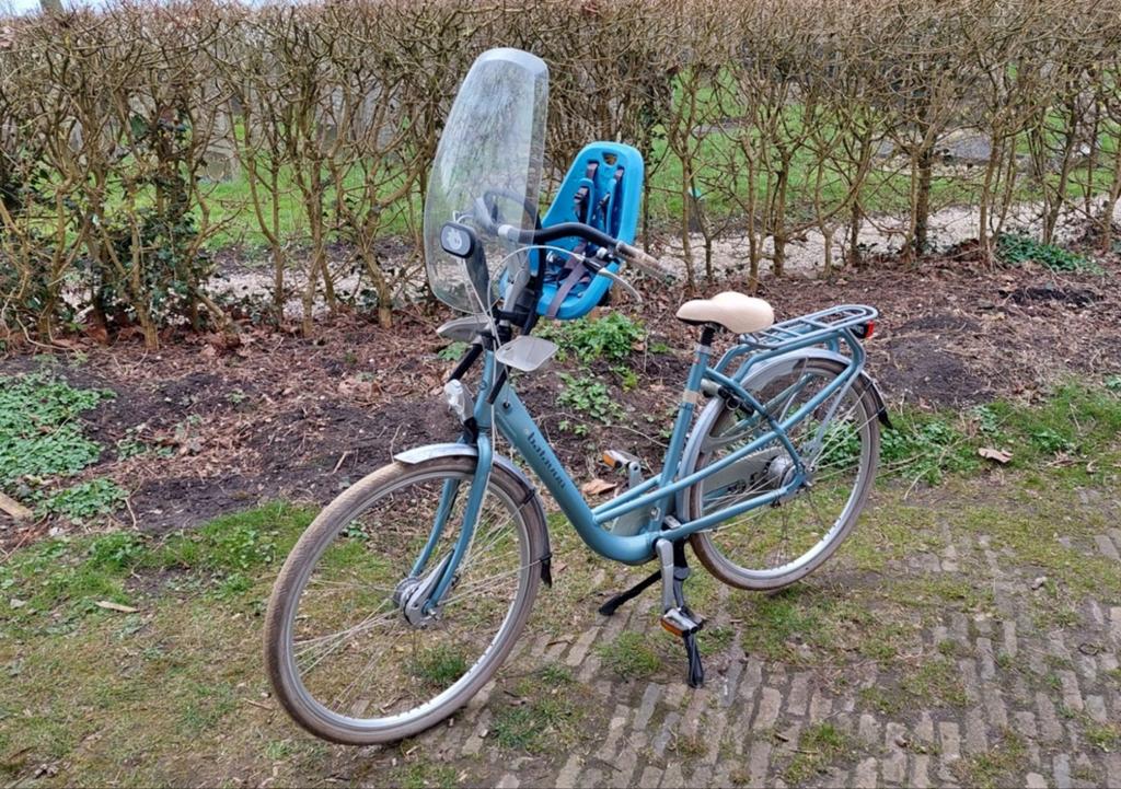 Batavus Mambo moederfiets 7 versnellingen framemaat 53, Ophalen, Versnellingen, Batavus, Schijfrem
