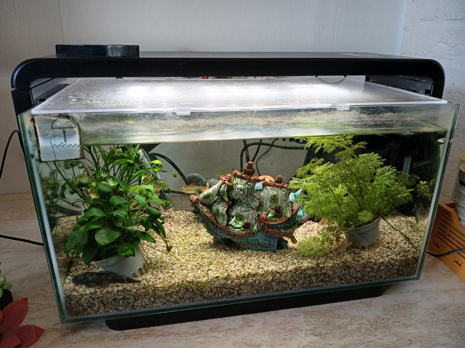 aquarium, 30 liter, Ophalen, Gebruikt, Verlichting of Verwarming, Superfish