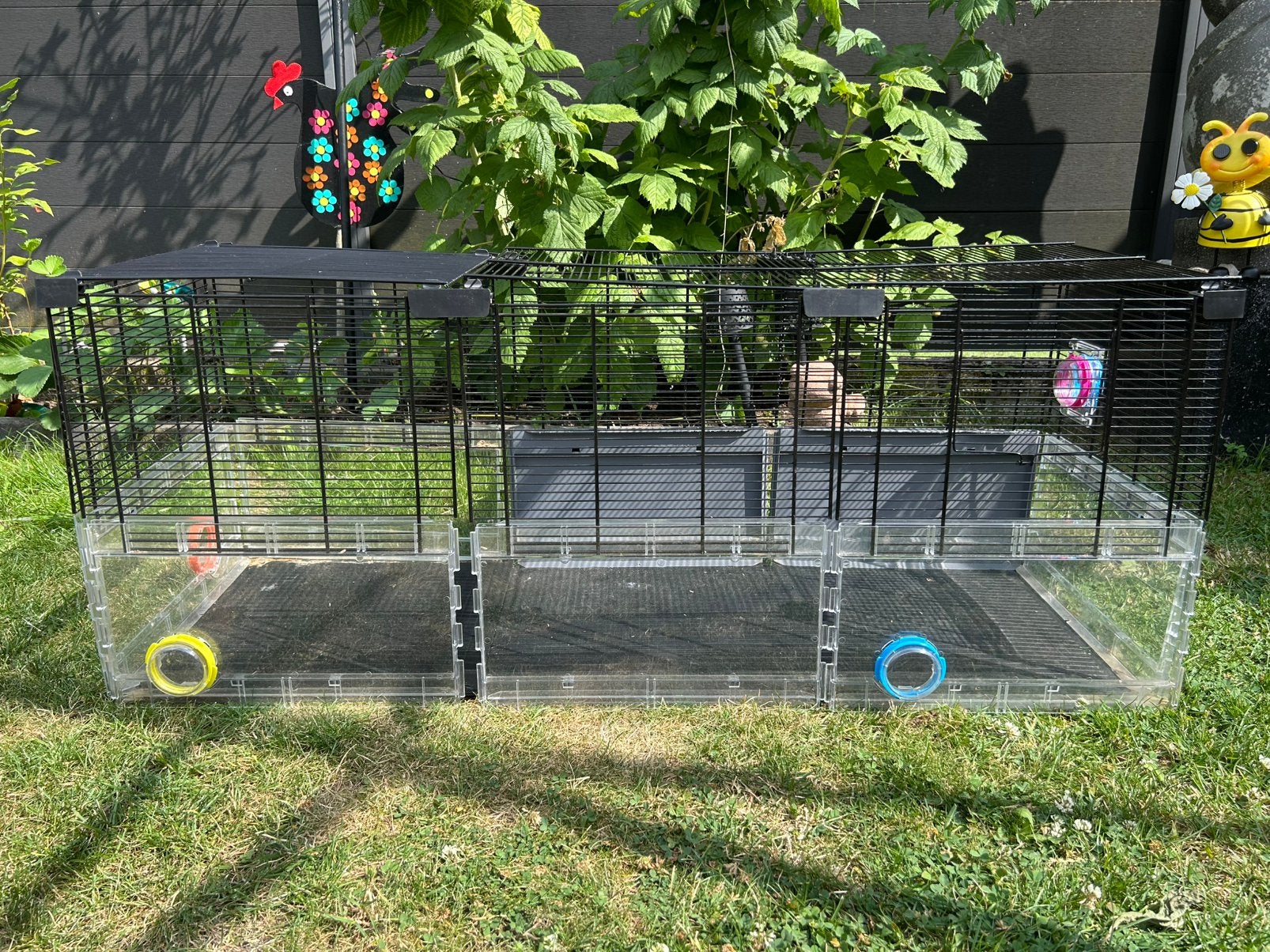 Hamsterhok Ferplast, Minder dan 75 cm, Zo goed als nieuw, Hok, Ophalen