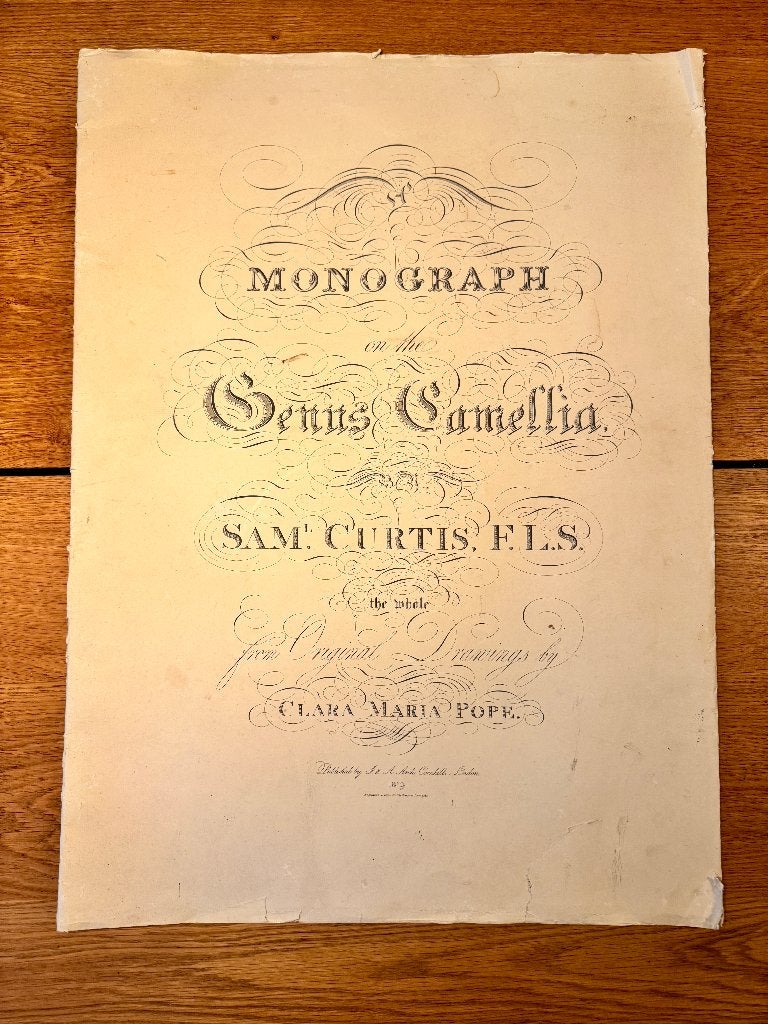 Complete Botanische Map 'Genus Camellia', Samuel Curtis 1819, 50 tot 100 cm, 50 tot 75 cm, Zo goed als nieuw, Rechthoekig