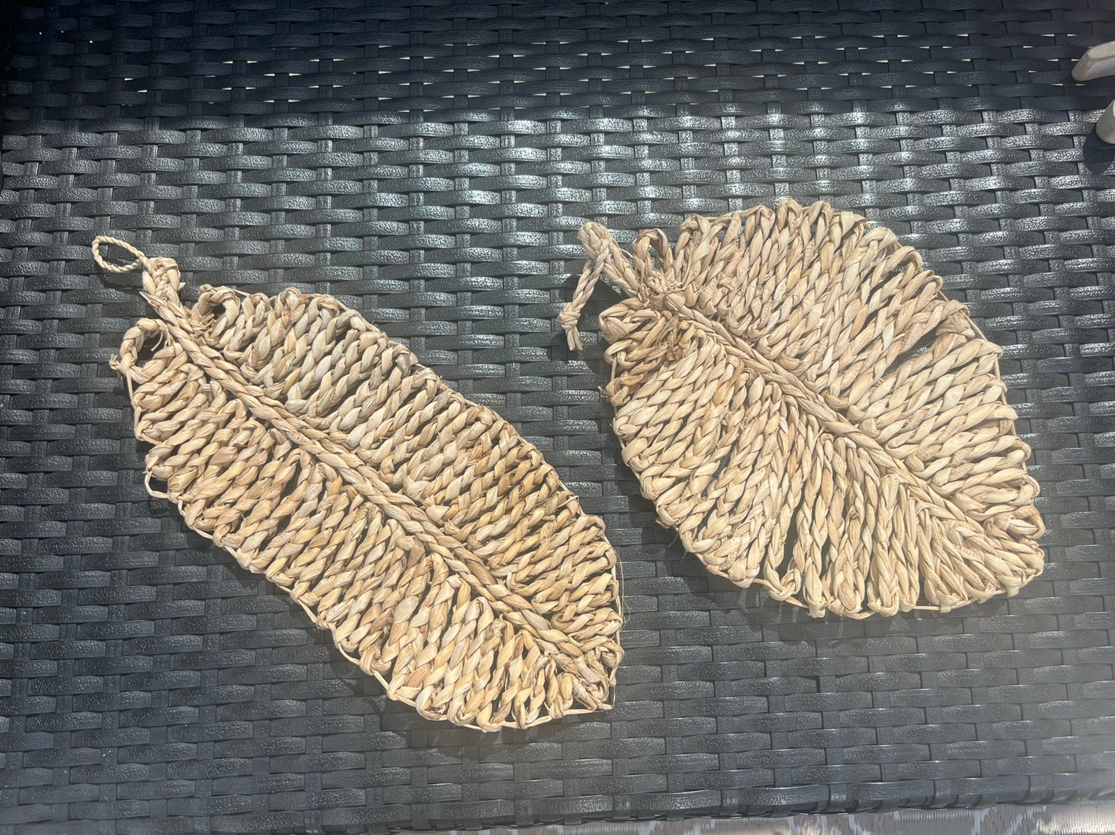 Te koop: wanddecoratie/deco bladeren, HuizeDop, Ophalen of Verzenden, Nieuw, Natuurlijk materiaal, Landelijk