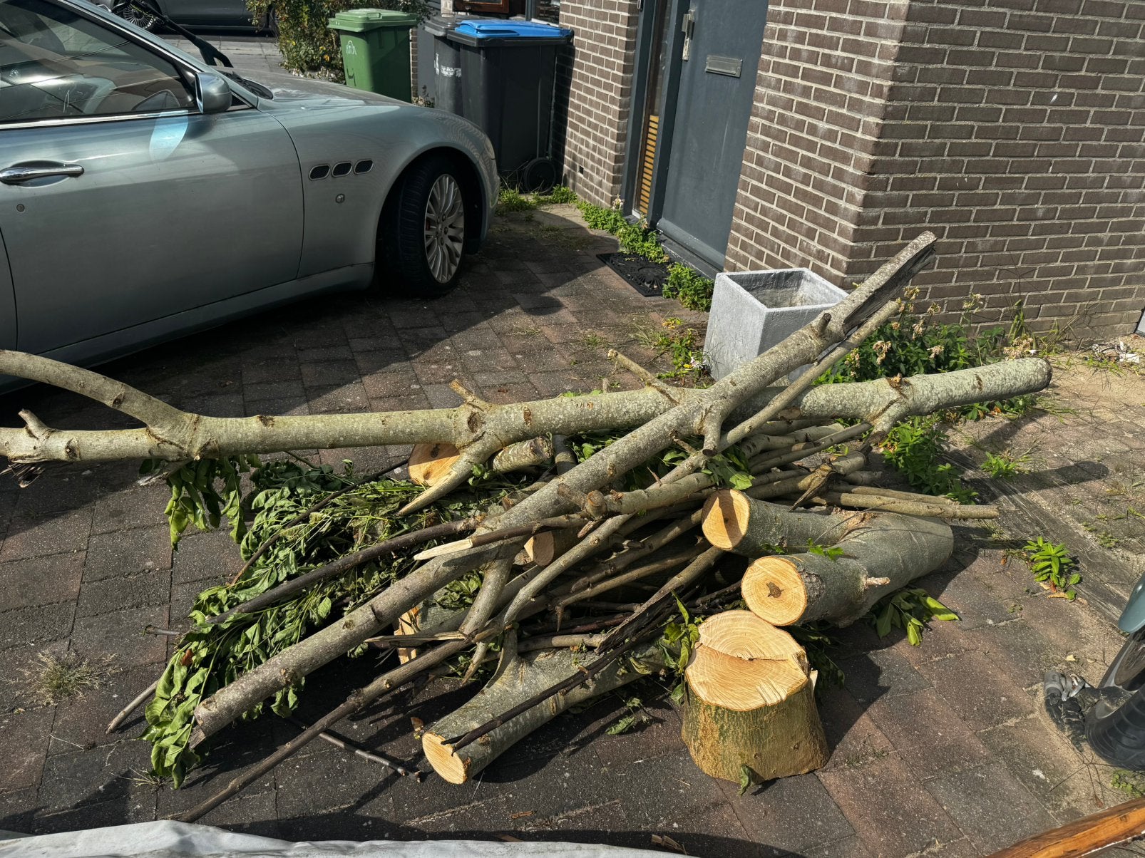 Haard hout vers gezaagd., Minder dan 3 m³, Ophalen, Essenhout, Takken