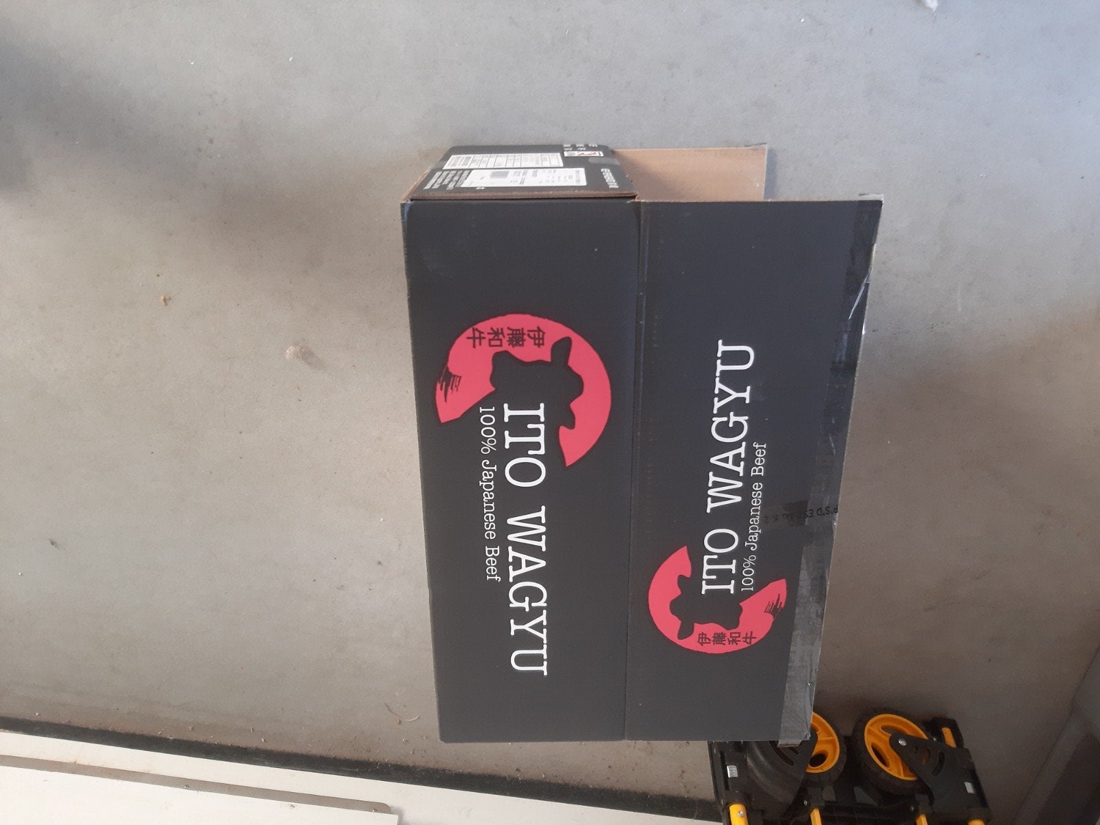 verhuisdozen  dozen voor uw verhuizing, Ophalen of Verzenden