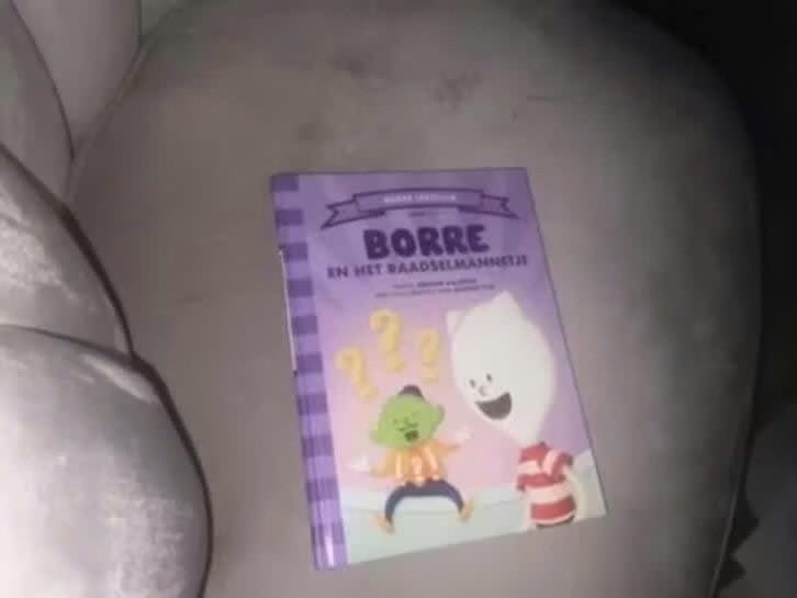 Borre en het Raadselmannetje - Spannend kinderboek, Boeken, Gelezen, 5 of 6 jaar, Jongen of Meisje, Ophalen of Verzenden