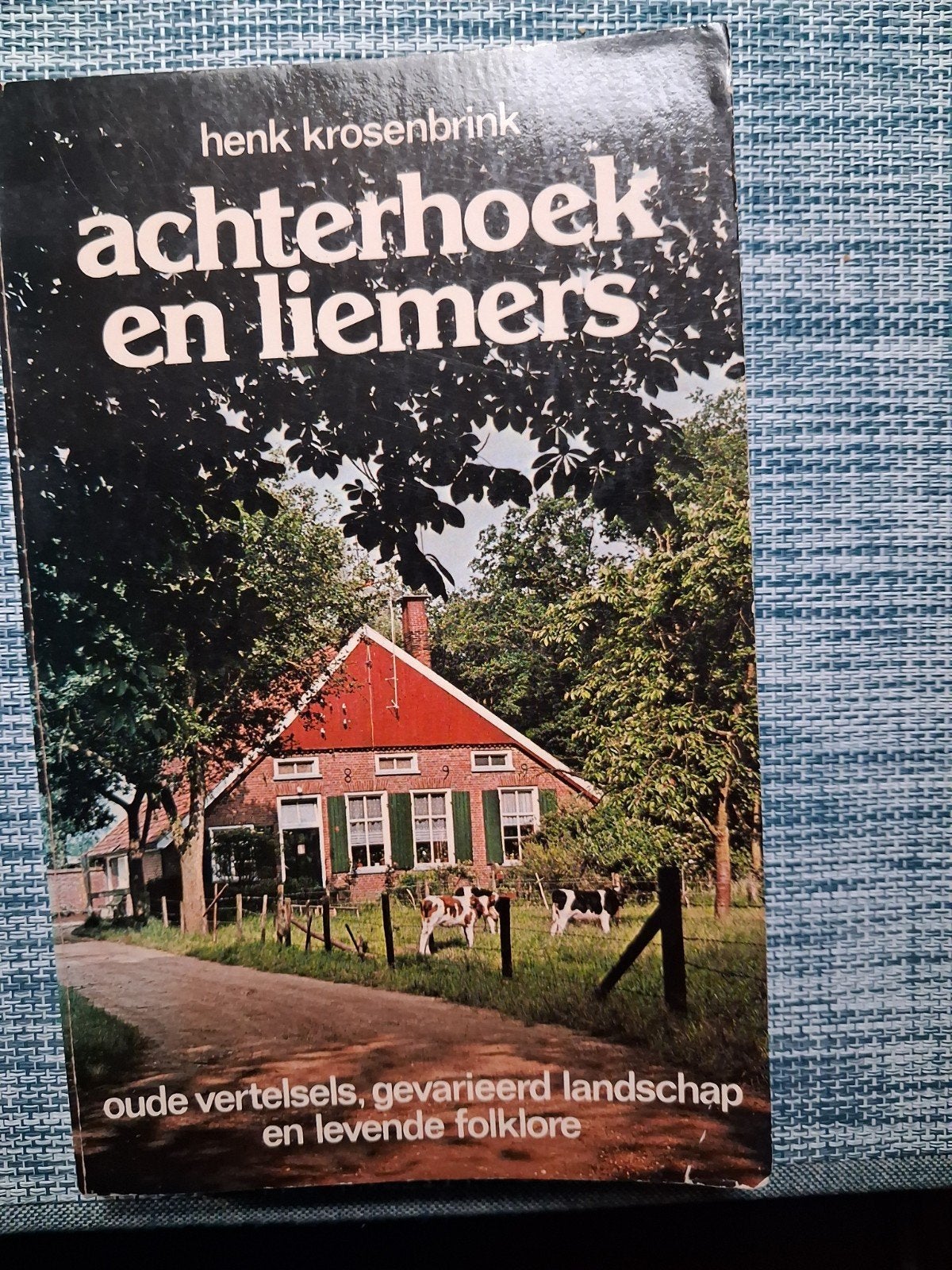 Achterhoek en Liemers - Henk Krosenbrink (Boek), Gelezen, Henk Krosenbrink, Gelderland, Ophalen of Verzenden