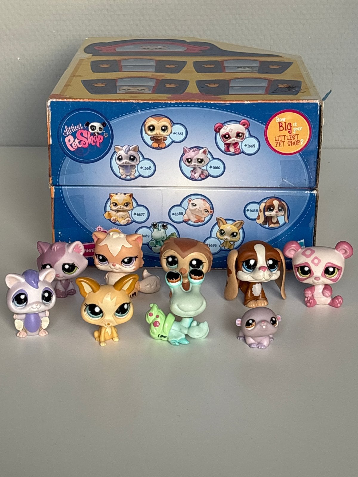 Little Pet Shop Figuren Collectie, Ophalen of Verzenden, Gebruikt, Jongen of Meisje