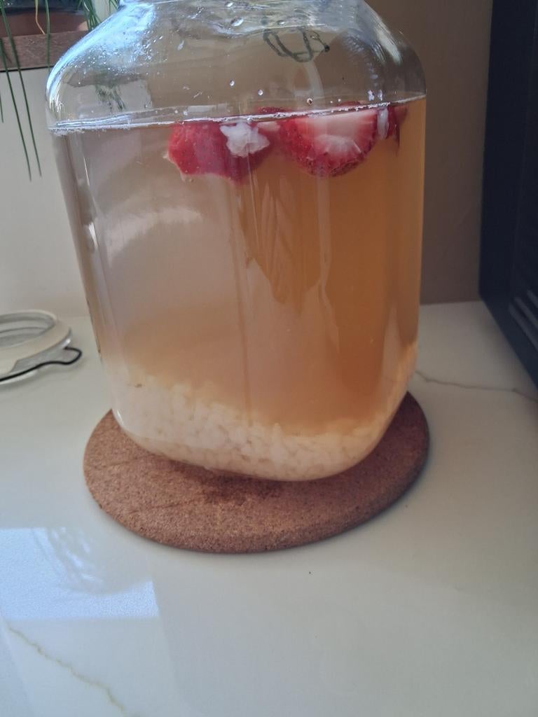 Kefir korrels per 100 gram, Ophalen