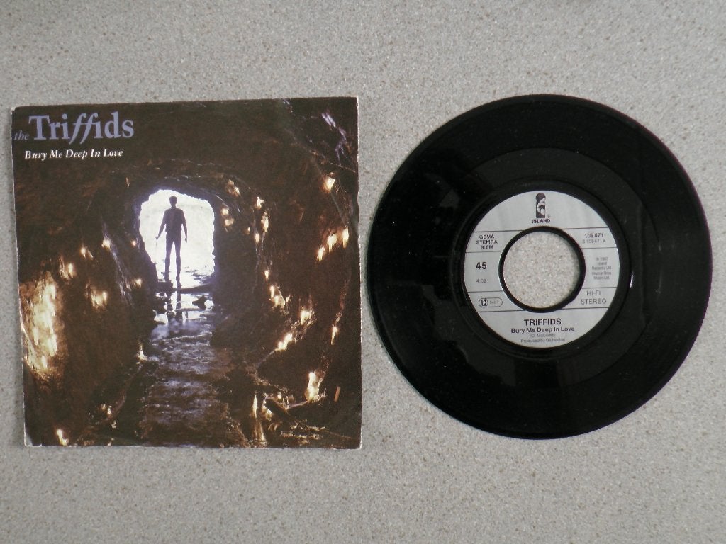 Triffids - Bury me deep in love VINYL SINGLE, Fotohoes, Ophalen of Verzenden, Gebruikt, Pop