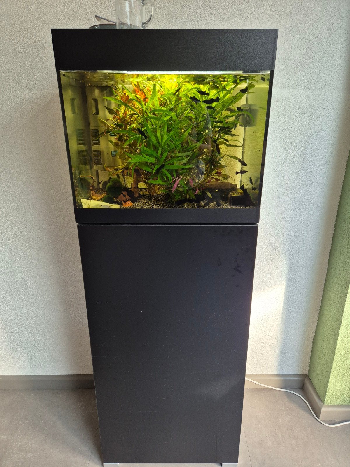 oasa styleline aquarium met onderkast, Dieren en Toebehoren, Vis, Zoetwatervis