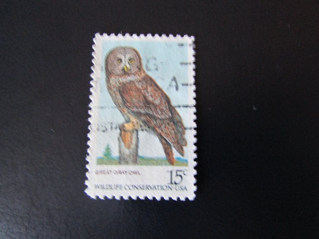 Postzegel Vogel: Grote Grijze Uil uit de U.S.A., Ophalen of Verzenden, Gestempeld, Dier of Natuur