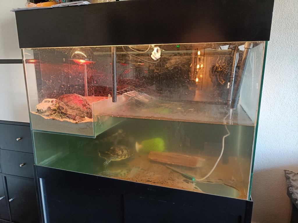 Waterschildpadden met Aquarium, Dieren en Toebehoren, Ophalen, Gebruikt, Terrarium of Paludarium
