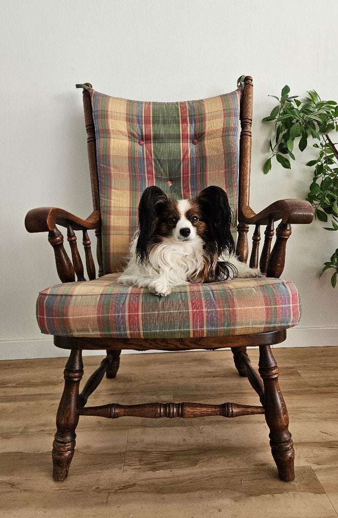 Klassieke eikenhouten fauteuil, hoge armstoel, excl. hondje, Huis en Inrichting, Fauteuils, Ophalen, Gebruikt, 75 tot 100 cm, Landelijk