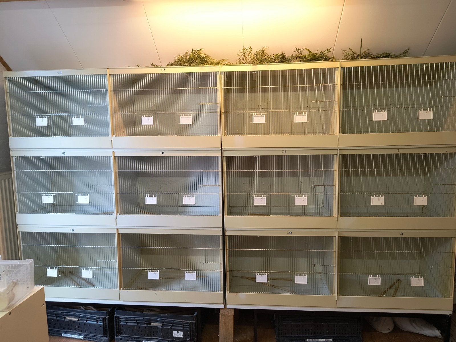 6 kunststof broedkooien, Dieren en Toebehoren, Vogels | Hokken en Kooien, Ophalen, Gebruikt, Kunststof, Broedkooi of Kweekkooi