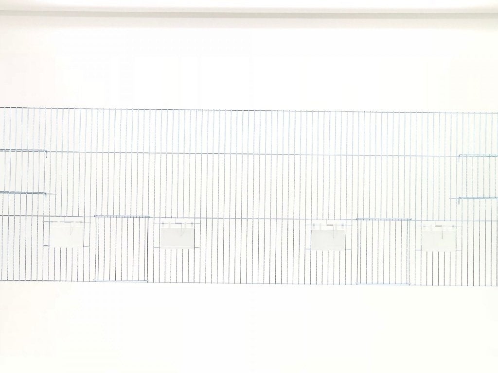 Nieuwe fronten 120x40 cm, Dieren en Toebehoren, Ophalen of Verzenden, Nieuw, Metaal, Broedkooi of Kweekkooi