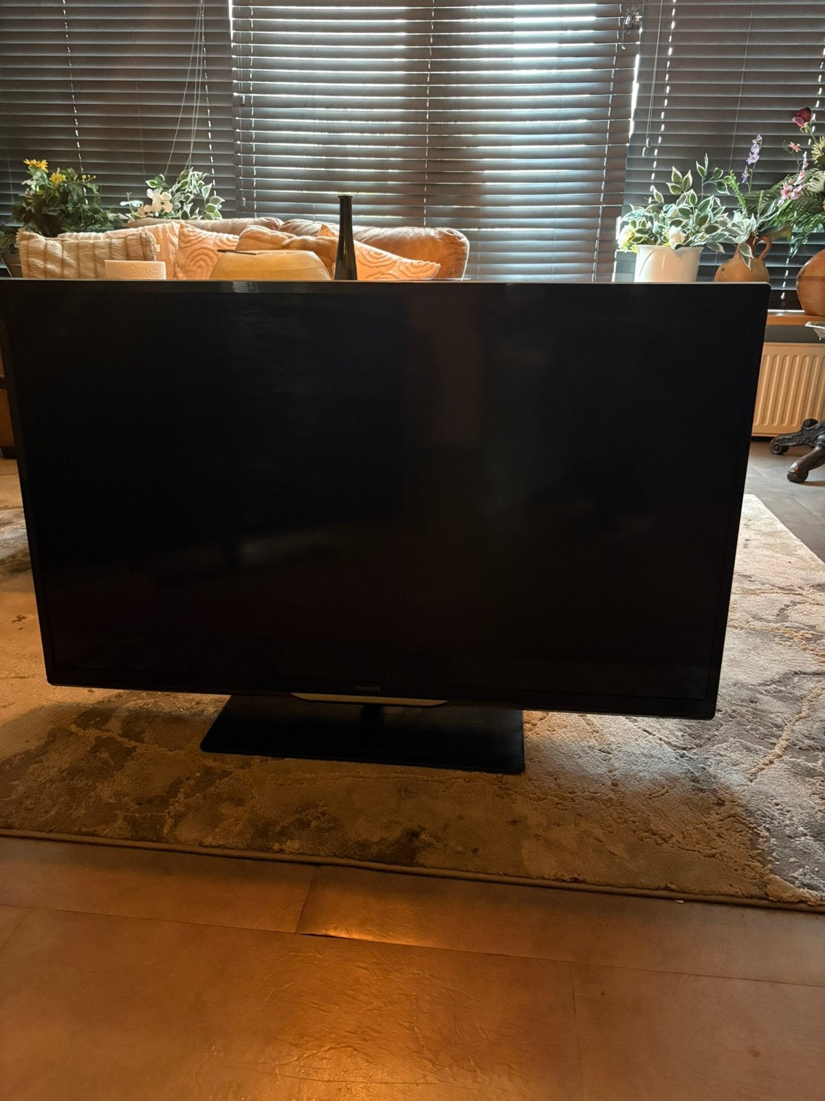 philips tv: 46pfl4208h/12, Ophalen, Philips, 50 Hz, 100 cm of meer