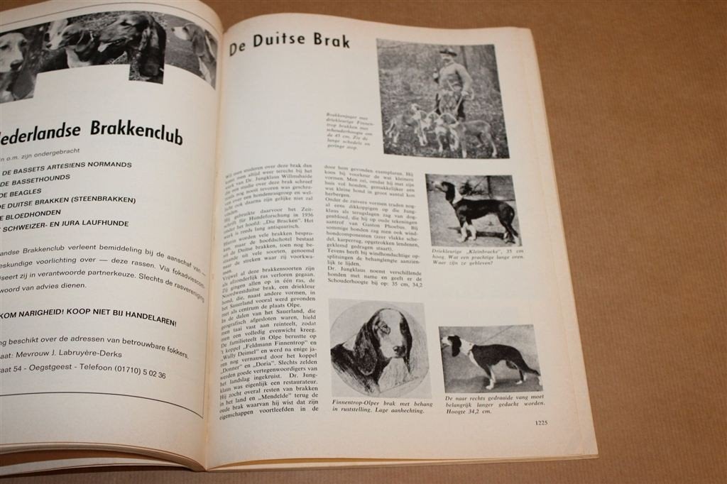 De Hondenwereld 1972 — Vintage Kerstnummer Hondenrassen, Ophalen of Verzenden, Gelezen