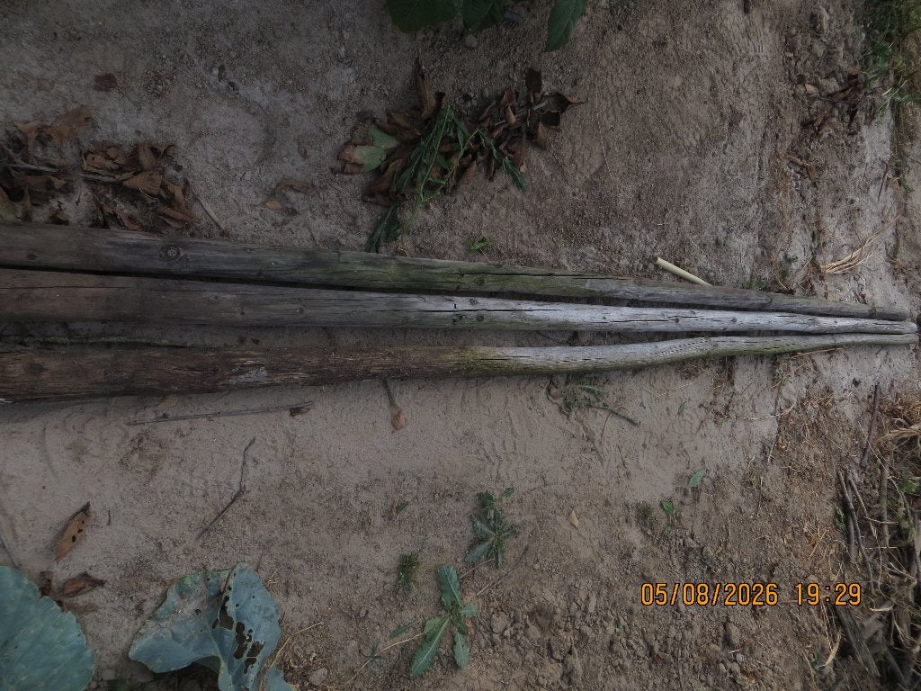 50 geïmpregneerde boompalen, Bloeit niet, Overige soorten, 100 tot 250 cm, Ophalen