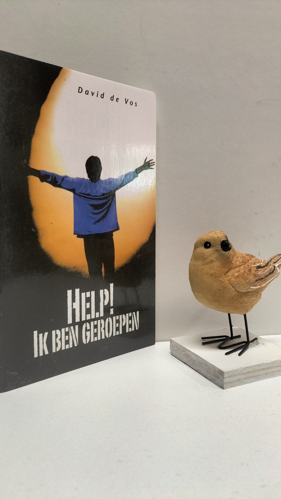 Vos, David de; Help! Ik ben geroepen, Ophalen of Verzenden, Gelezen, Christendom | Protestants
