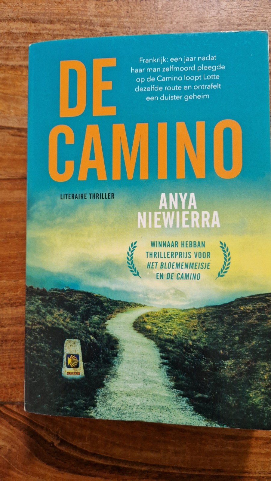 De Camino - Anya Niewierra (Literaire thriller), Ophalen of Verzenden, Zo goed als nieuw, Anya Niewierra, Nederland
