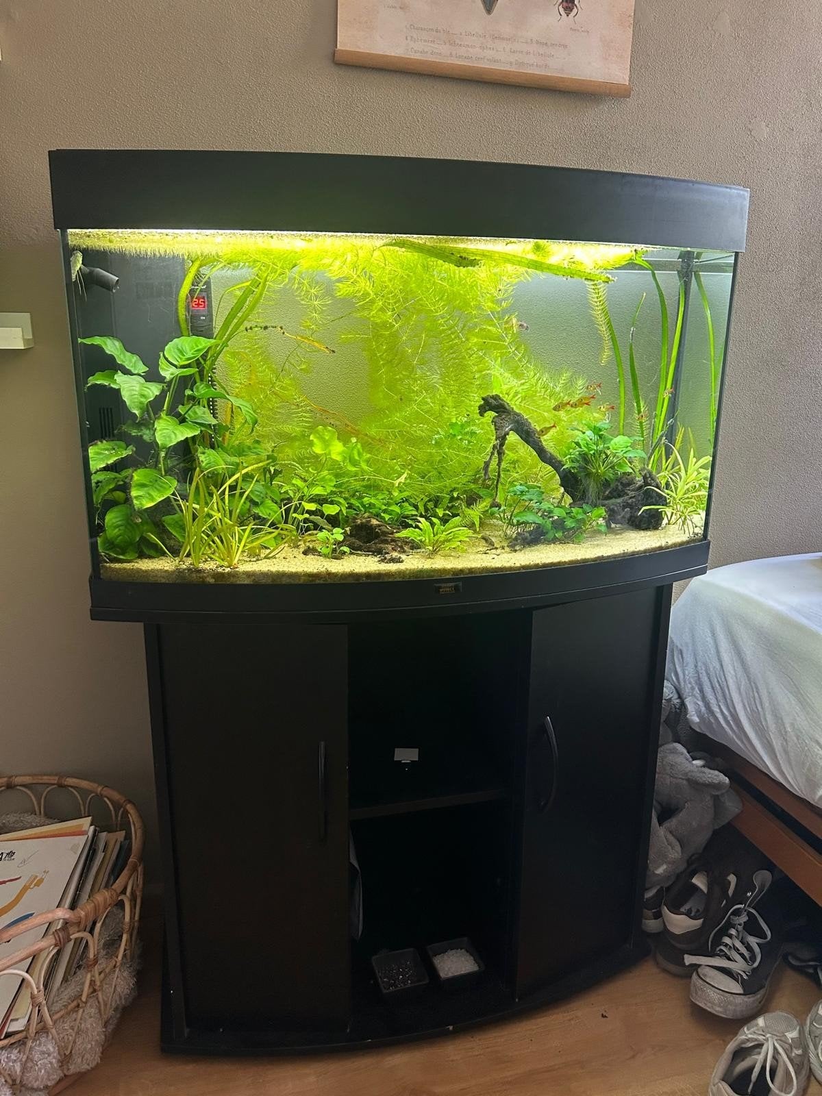 Juwel Rio Vision 180 L aquarium met kast en toebehoren, Dieren en Toebehoren, Ophalen, Gebruikt, Gevuld zoetwateraquarium, Inclusief vissen