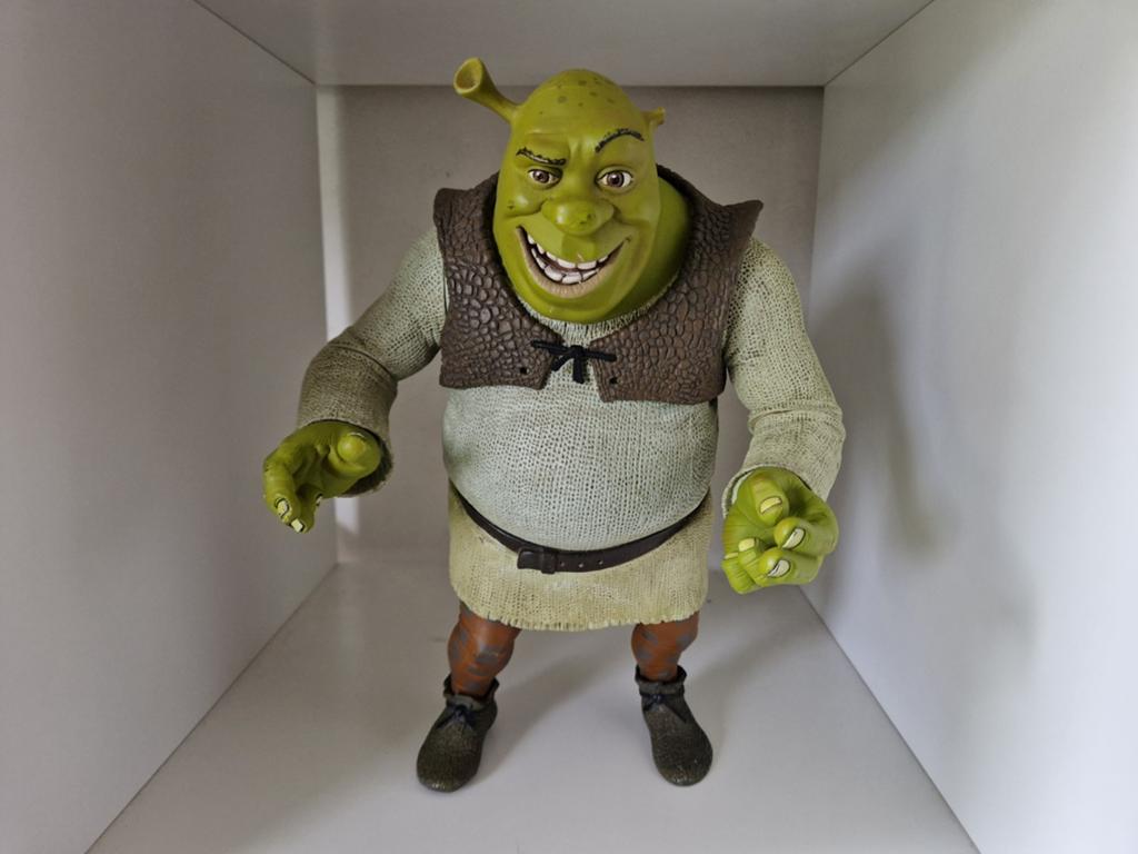 Shrek 30 cm -MC Farlane niet getest, Ophalen of Verzenden