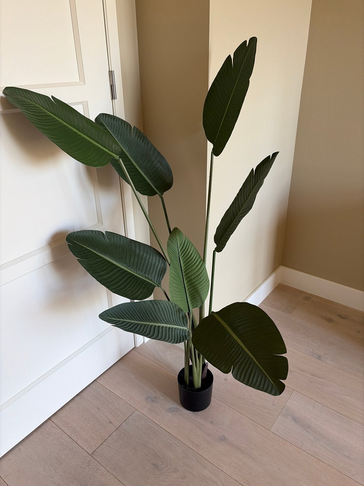 Grote kunstplant Strelitzia, Ophalen, Binnen, Groen, Kunstplant