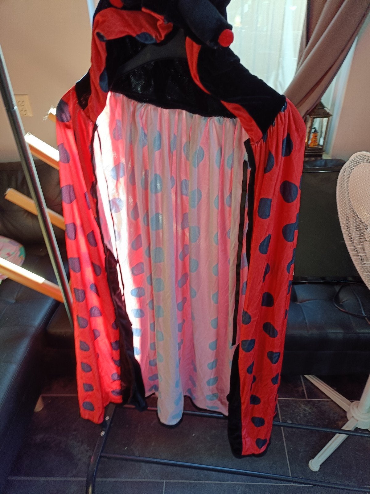 Lieveheersbeestje verkleedset - compleet met accessoires, Ophalen of Verzenden, Gebruikt, 134 t/m 140, Meisje