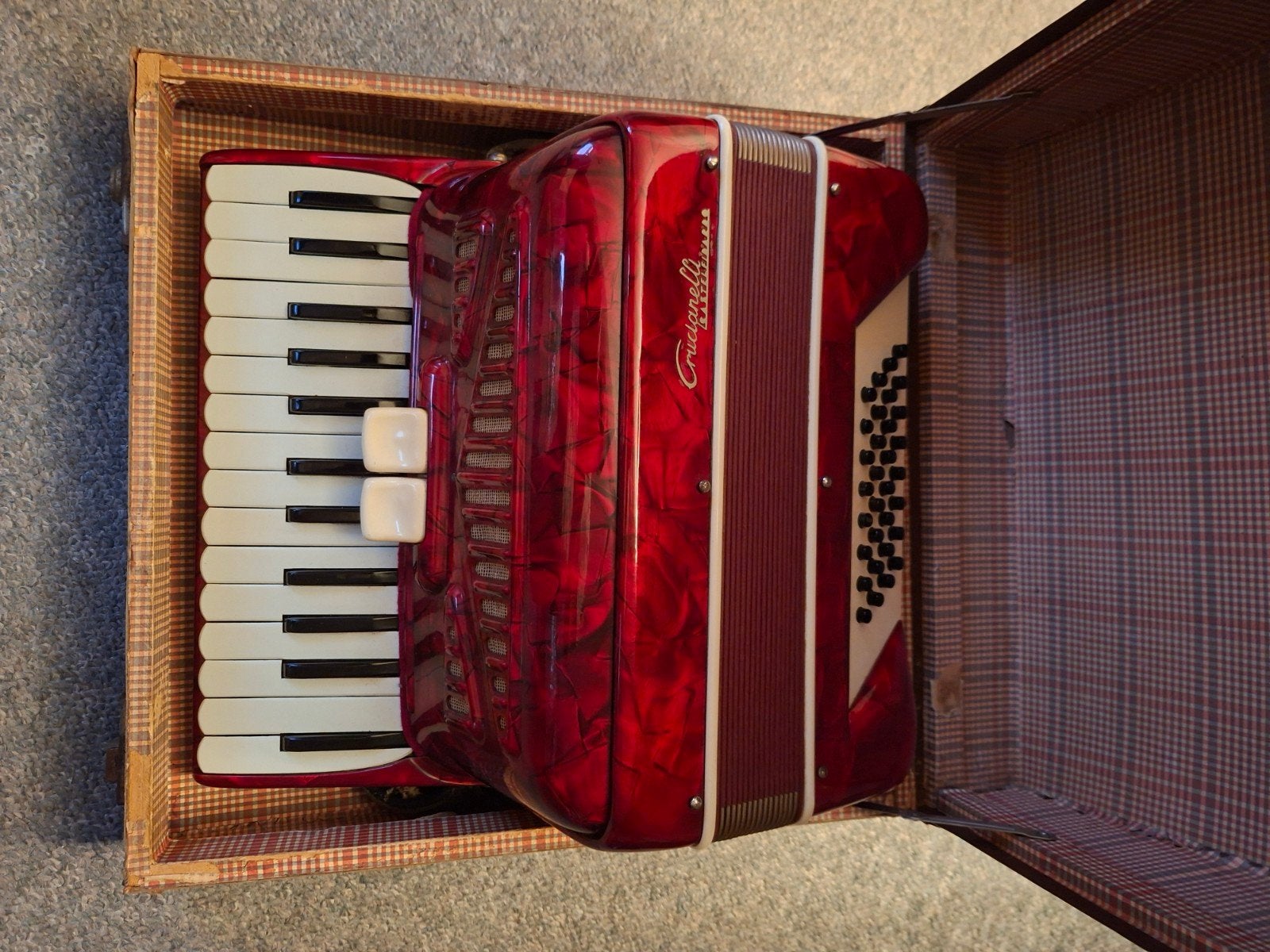 48-bas accordeon met originele koffer en bijbehorende riemen, Muziek en Instrumenten, Ophalen of Verzenden, 48-bas, Met koffer